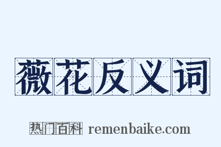 薇花反义词是什么意思的图片